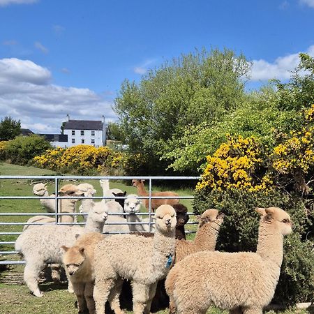 The Alpaca Farmhouse With Hot Tub And Alpaca Experience Included Dromara Exterior photo